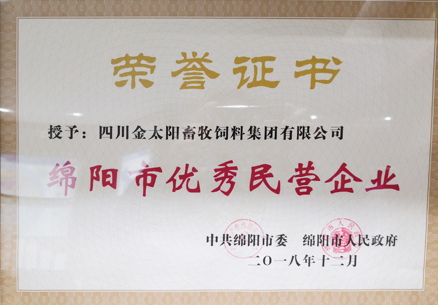 绵阳市优秀民(mín)营企业 绵阳市优秀民(mín)营企业
